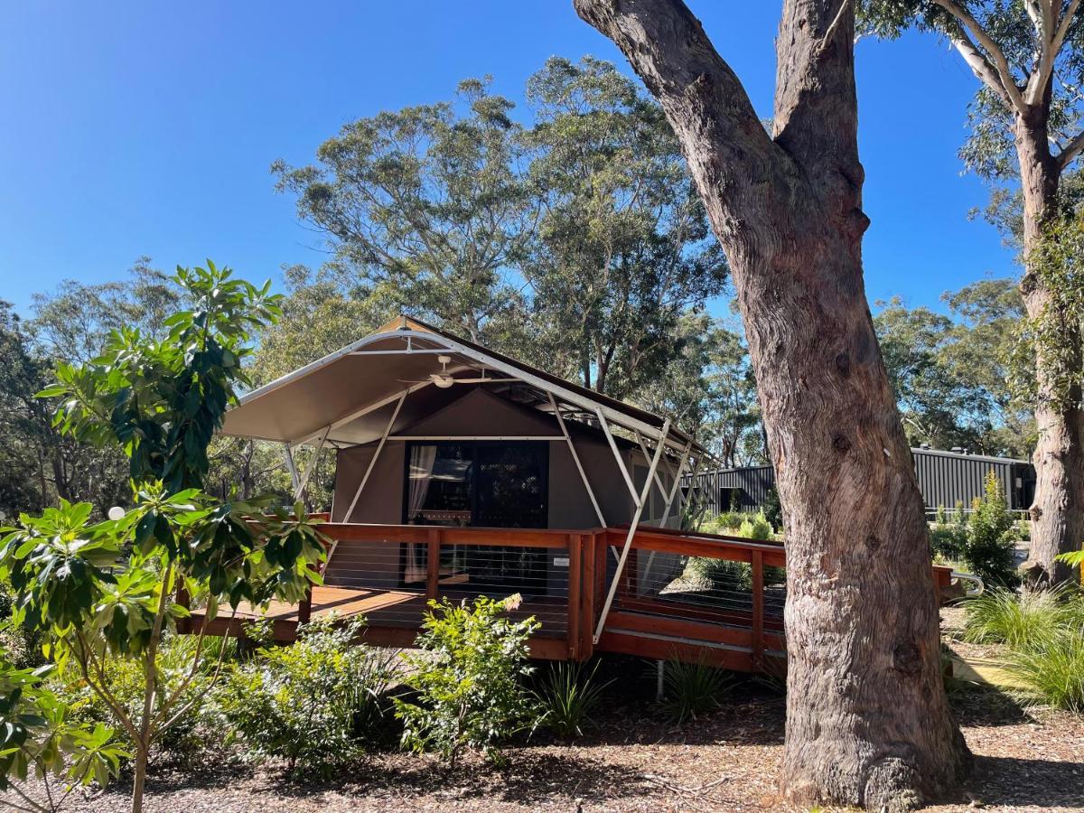 Hotel Port Stephens Koala Sanctuary One Mile Exteriér fotografie