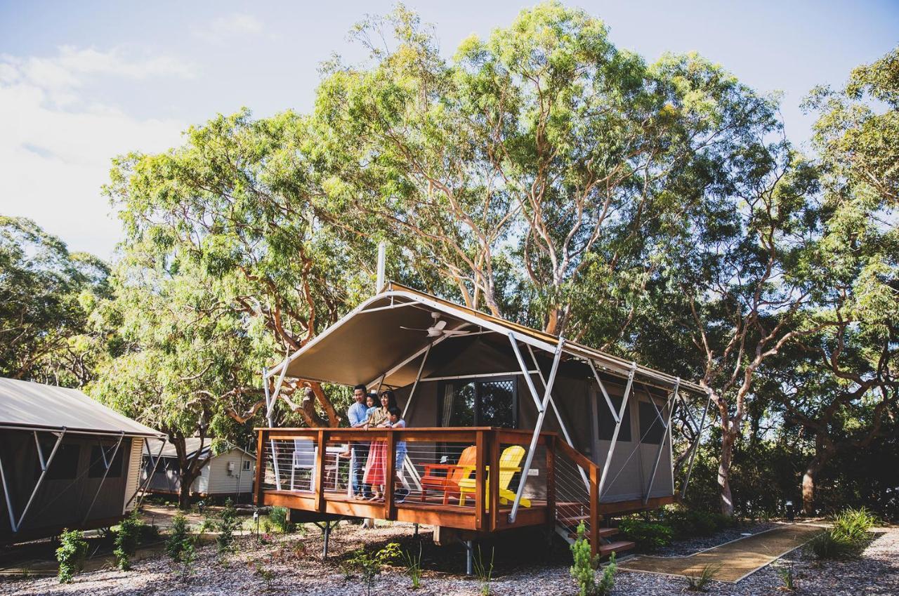 Hotel Port Stephens Koala Sanctuary One Mile Exteriér fotografie